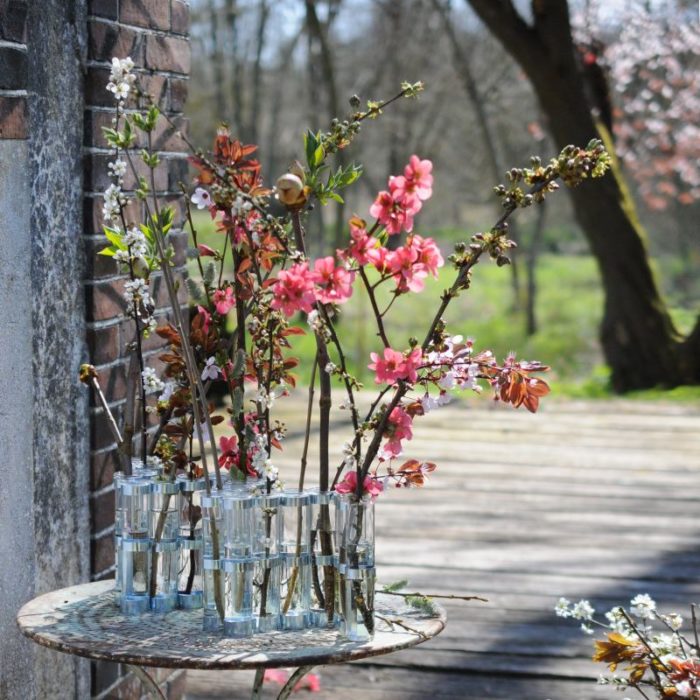 petit vase avril fleur jardin